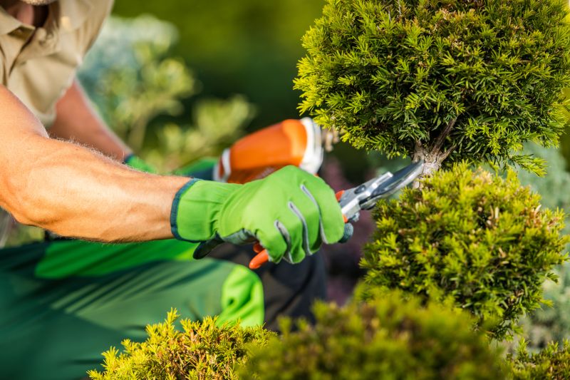 Landscape Pruning Service in Honolulu, HI