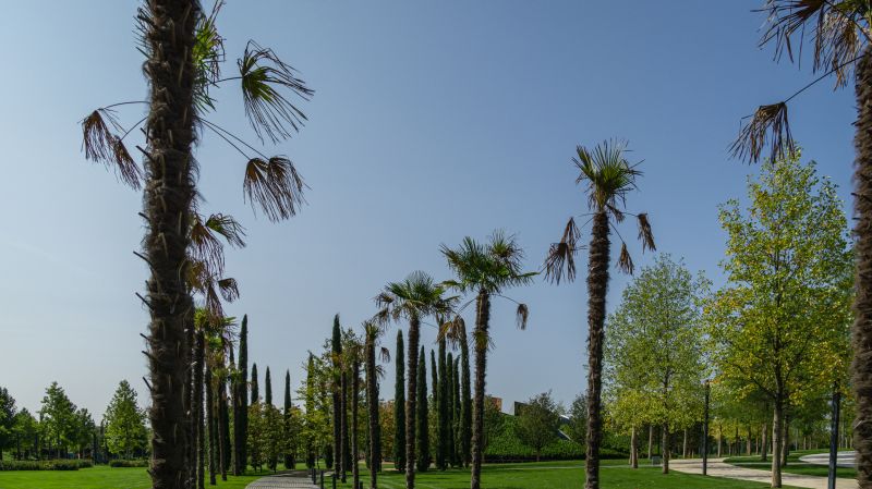 Budget-Smart Upgrades