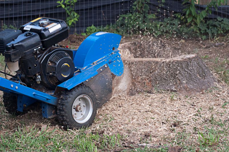 Stump Grinding Service in Aiken, SC